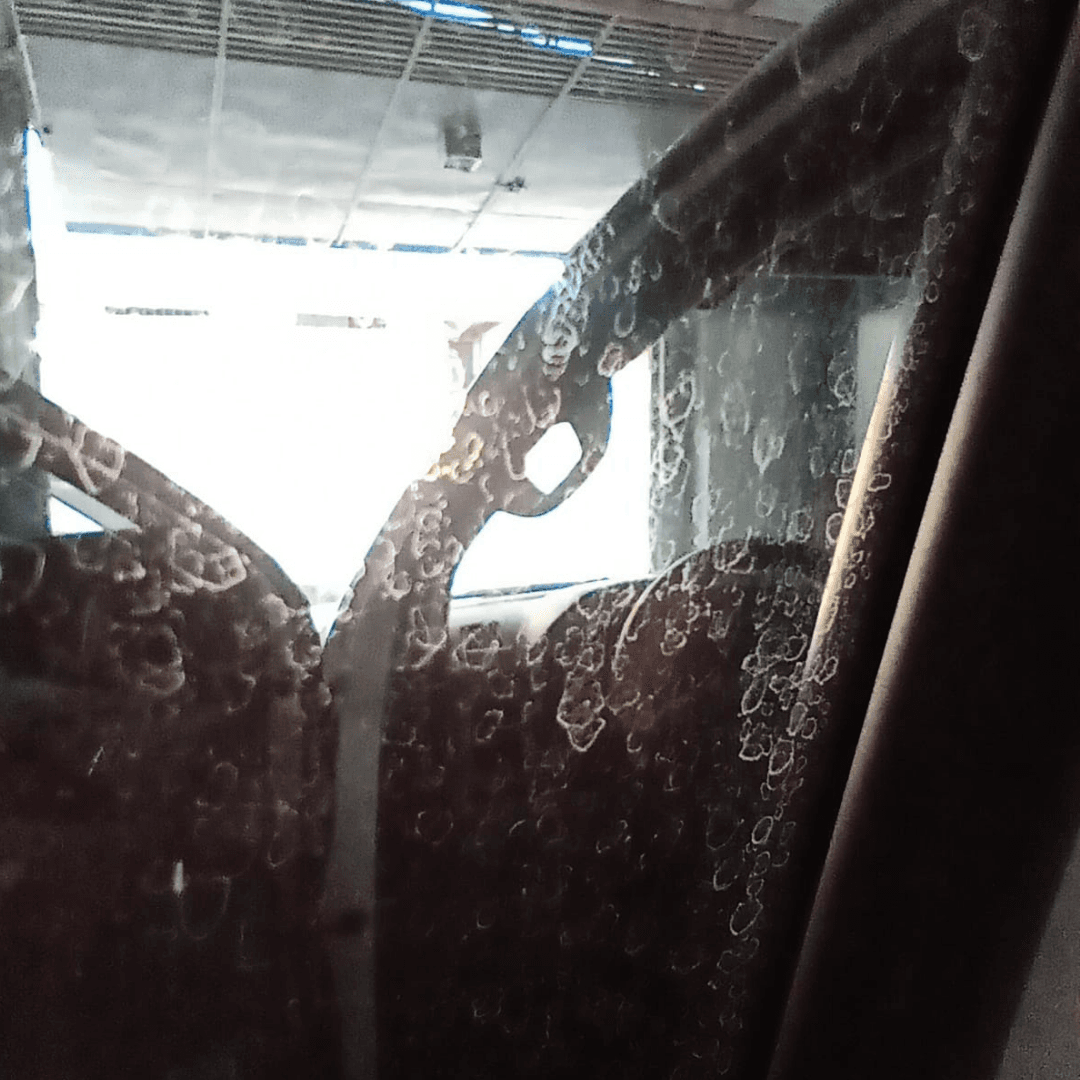 Descontaminação Dos Vidros