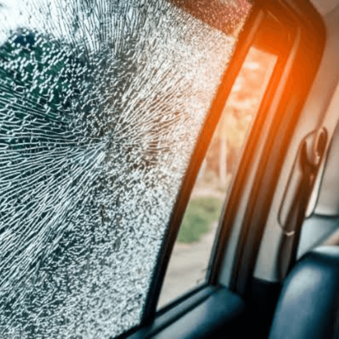 Película Antivandalismo